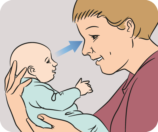 2.gif